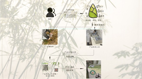 托普云農(nóng)物聯(lián)網(wǎng)平臺助力山伢兒早園筍打造產(chǎn)供銷一體化