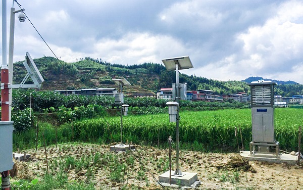 托普云農(nóng)病蟲害監(jiān)測預(yù)警系統(tǒng)助力大田縣綠色防控