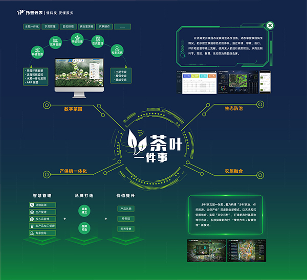 數(shù)字茶園：“茶葉一件事”續(xù)寫中國茶發(fā)展新模式