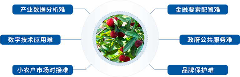 “親農(nóng)在線”