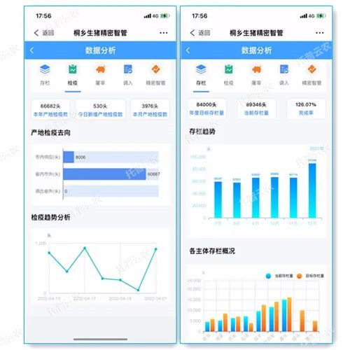 養(yǎng)豬也靠高科技，桐鄉(xiāng)生豬產(chǎn)業(yè)步入數(shù)字化發(fā)展跑道